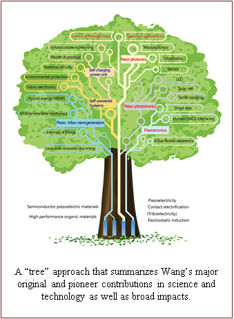 Text Box:    A “tree” approach that summarizes Wang’s major original and pioneer contributions in science and technology as well as broad impacts.   
